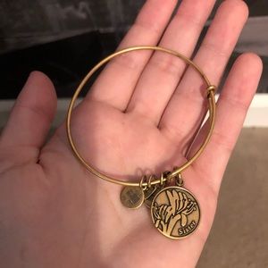 Sister alex and ani bracelet